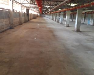 Industrial buildings for sale in Catadau