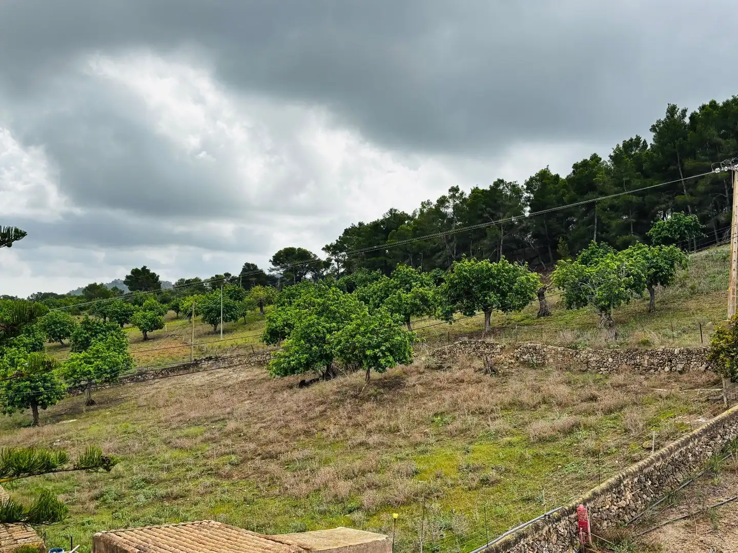 Finca rústica en venta en Felanitx con Calefacción, Jardín privado y Terraza