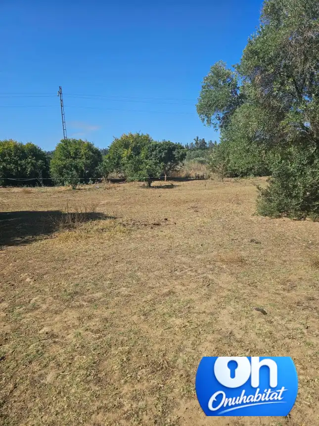 Terrenos y solares en venta en Gibraleón, imagen 4