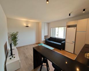 Living room of Flat to rent in Girona Capital  with Air Conditioner, Parquet flooring and Furnished