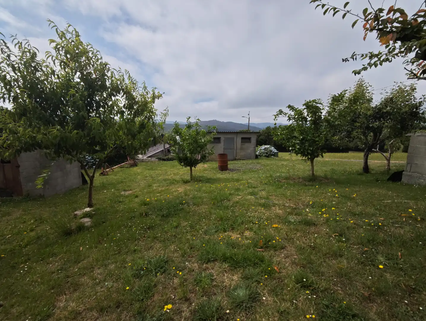 Houses for sale in Moeche  with Private garden
