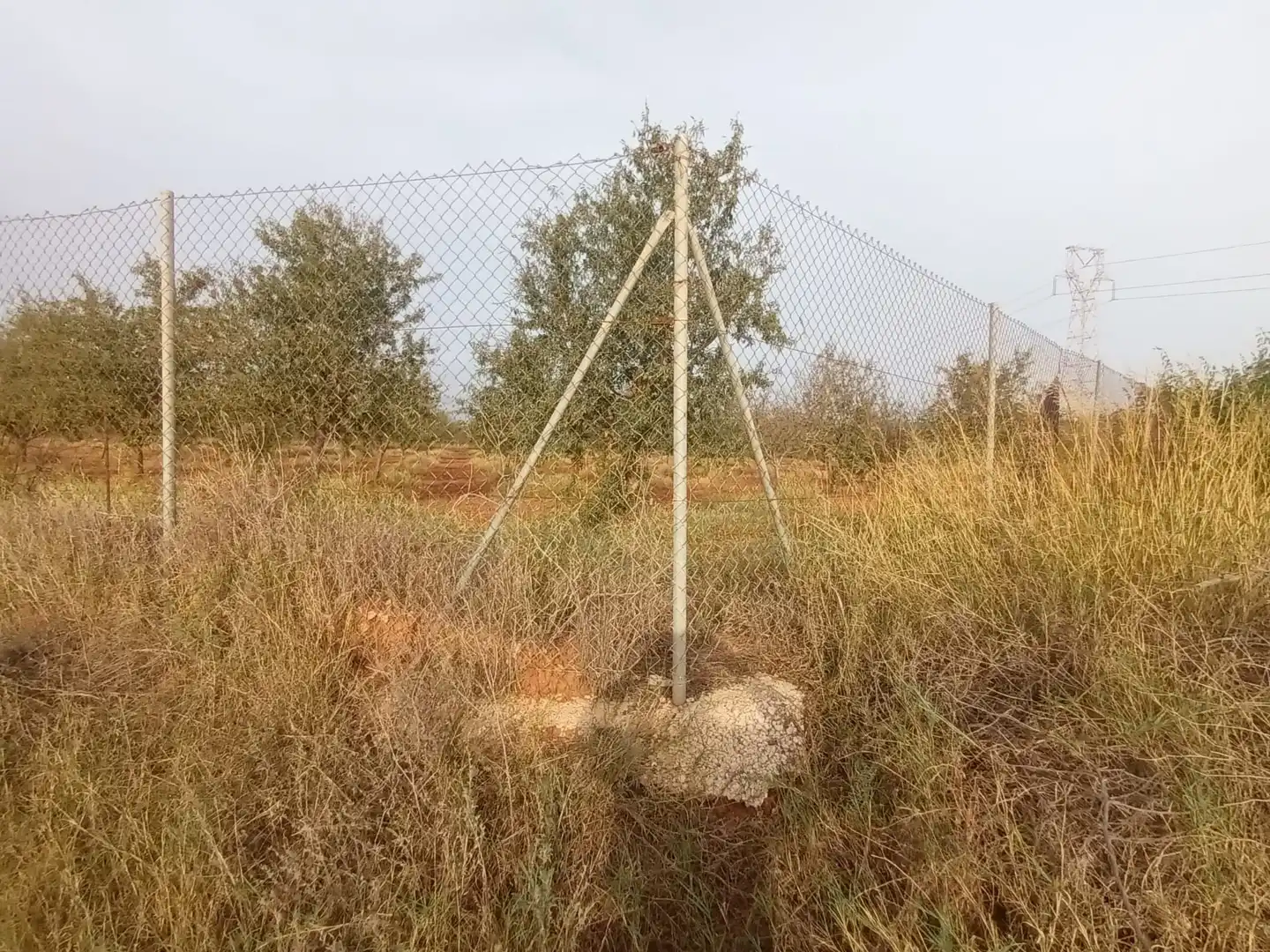 Terreny rústic en venda a Pedanías Oeste, imagen 7