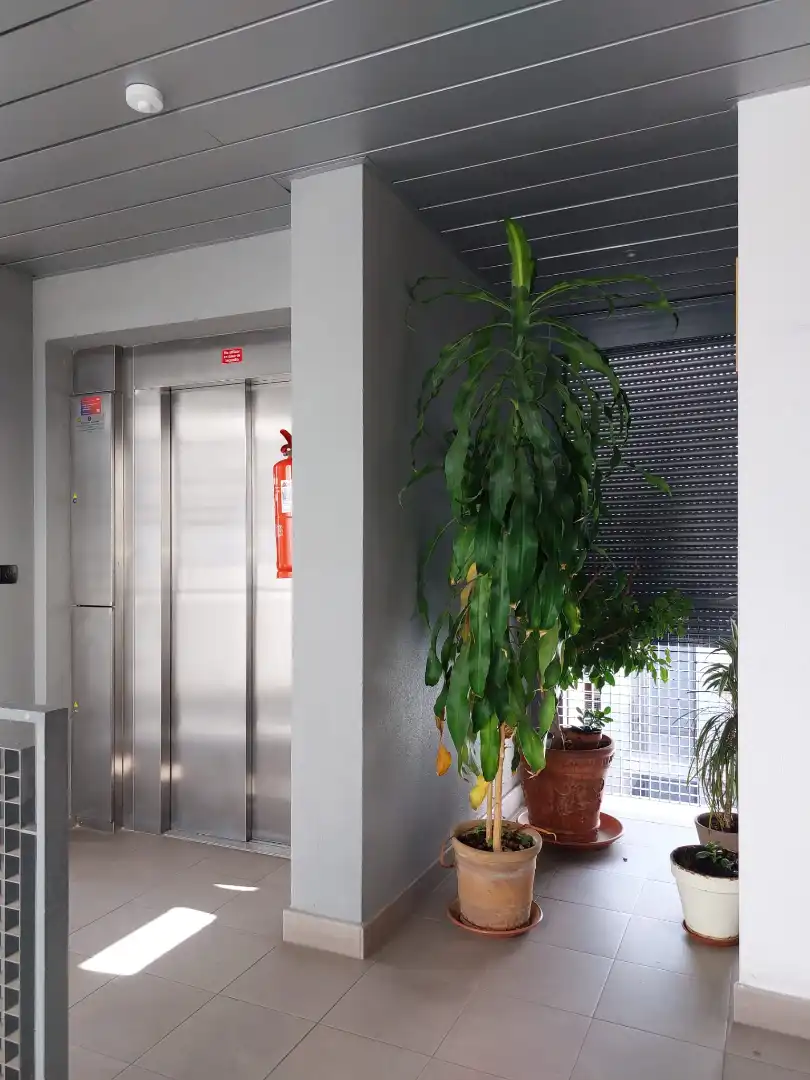 Apartments for sale in Calle Fuente Nueva, 6, Bajadilla - Fuente Nueva