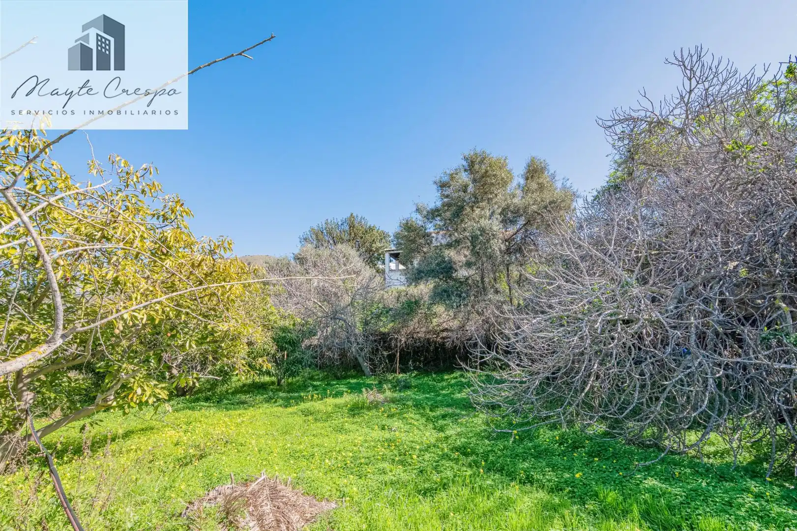 Detached house with pool for sale in Calle alcubillas 44, imagen 65