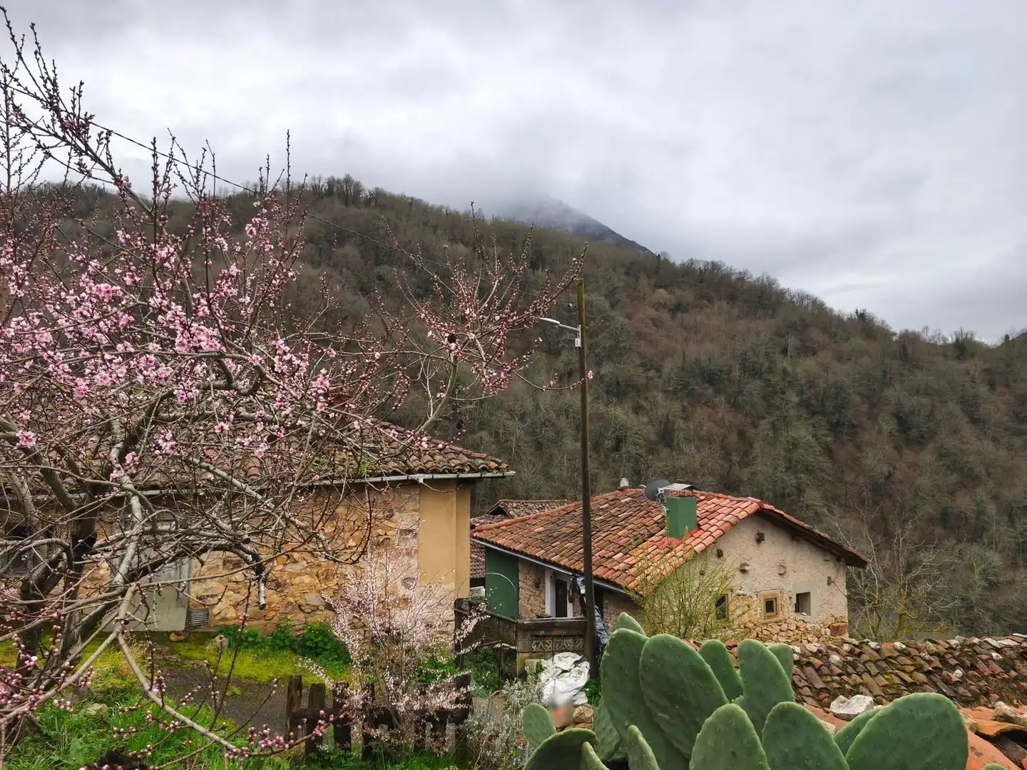 Vista exterior de Casa o chalet en venta en Proaza con Piscina