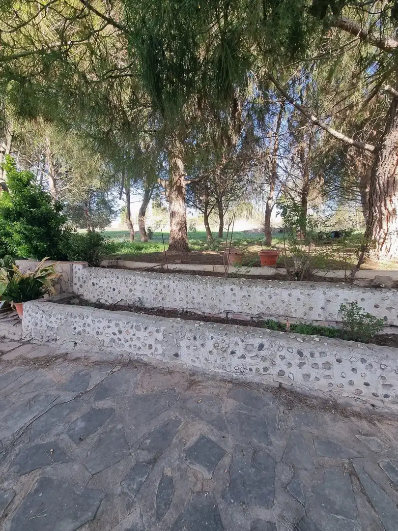 Jardí de Casa o xalet en venda en Lleida amb Jardí privat i Traster