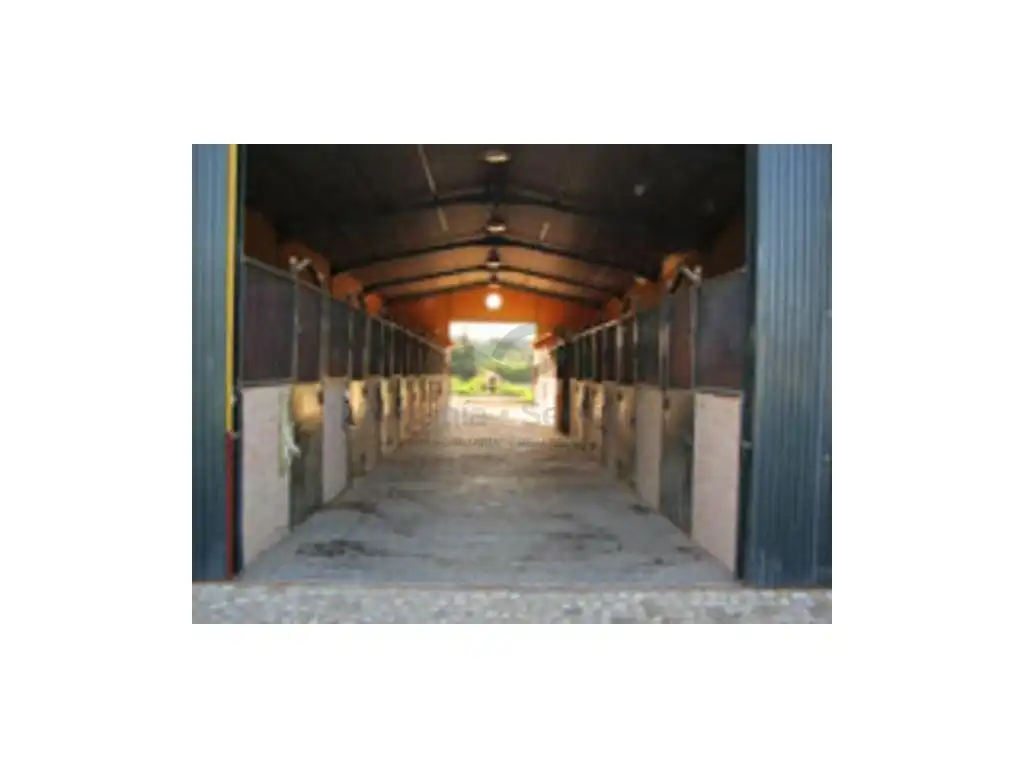 Casa en venta en Alcalá de los Gazules, imagen 6
