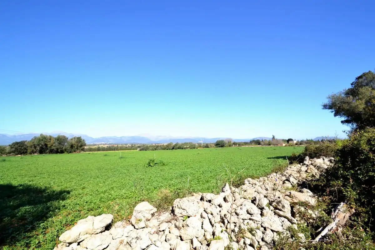 Rural land for sale in Muro, imagen 3