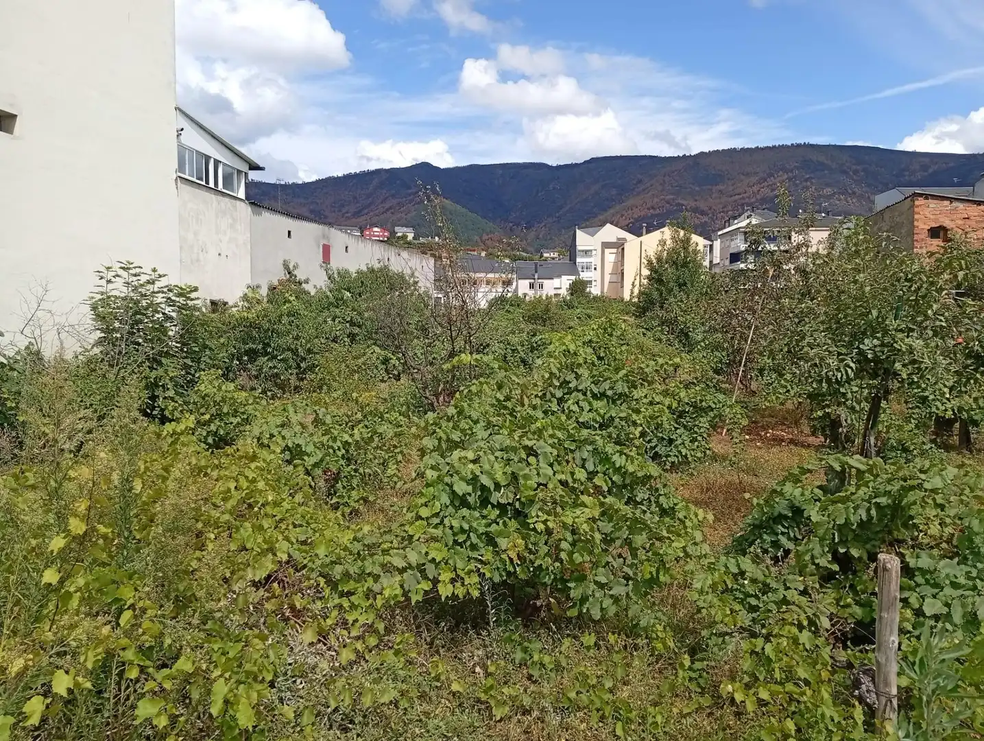 Residential for sale in A Rúa 