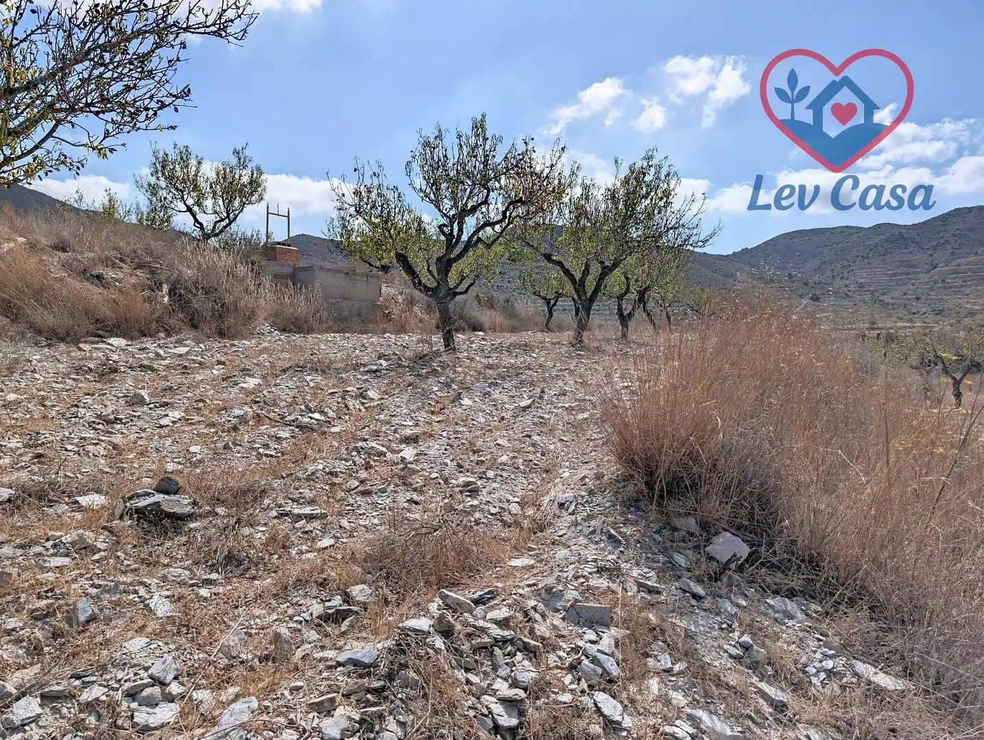 Terreno rustico in vendita a Playa del Galán, imagen 25