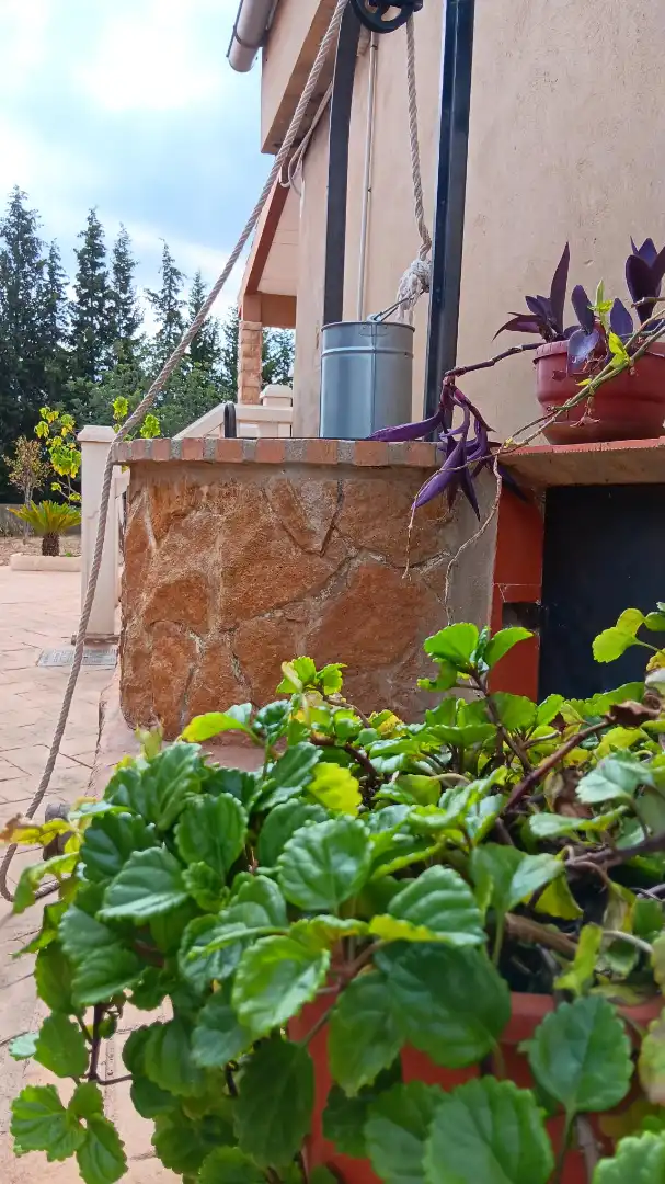 Terraza de Casa o chalet en venta en Cheste con Jardín privado, Terraza y Trastero