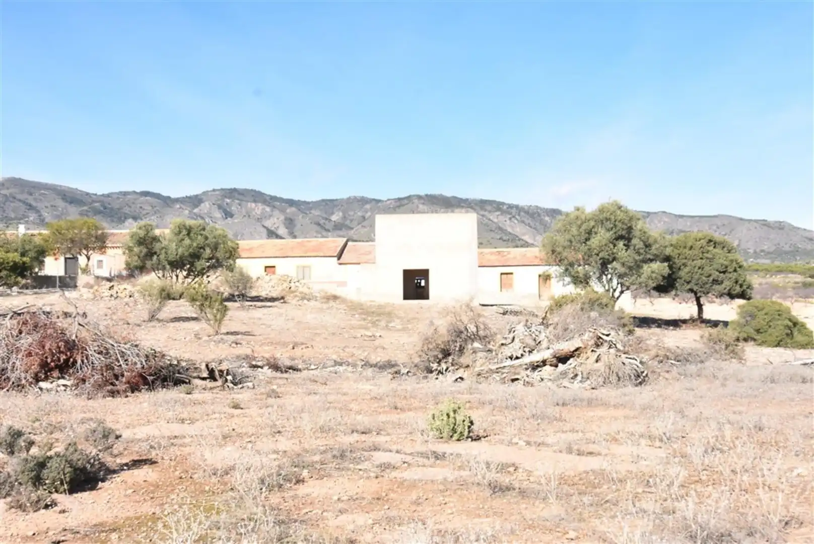 Casa o xalet en venda en Fuente Álamo de Murcia amb Jardí privat i Terrassa