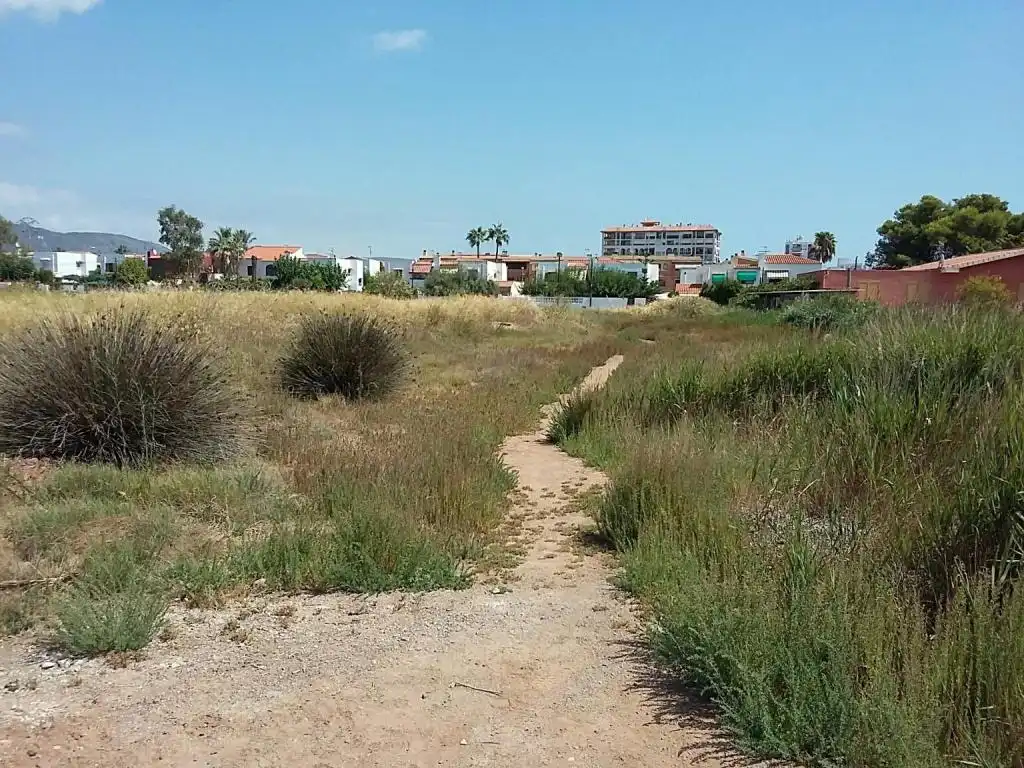 Terreny rústic en venda a C/ Sr. Pere Sanz de Montornes, imagen 6