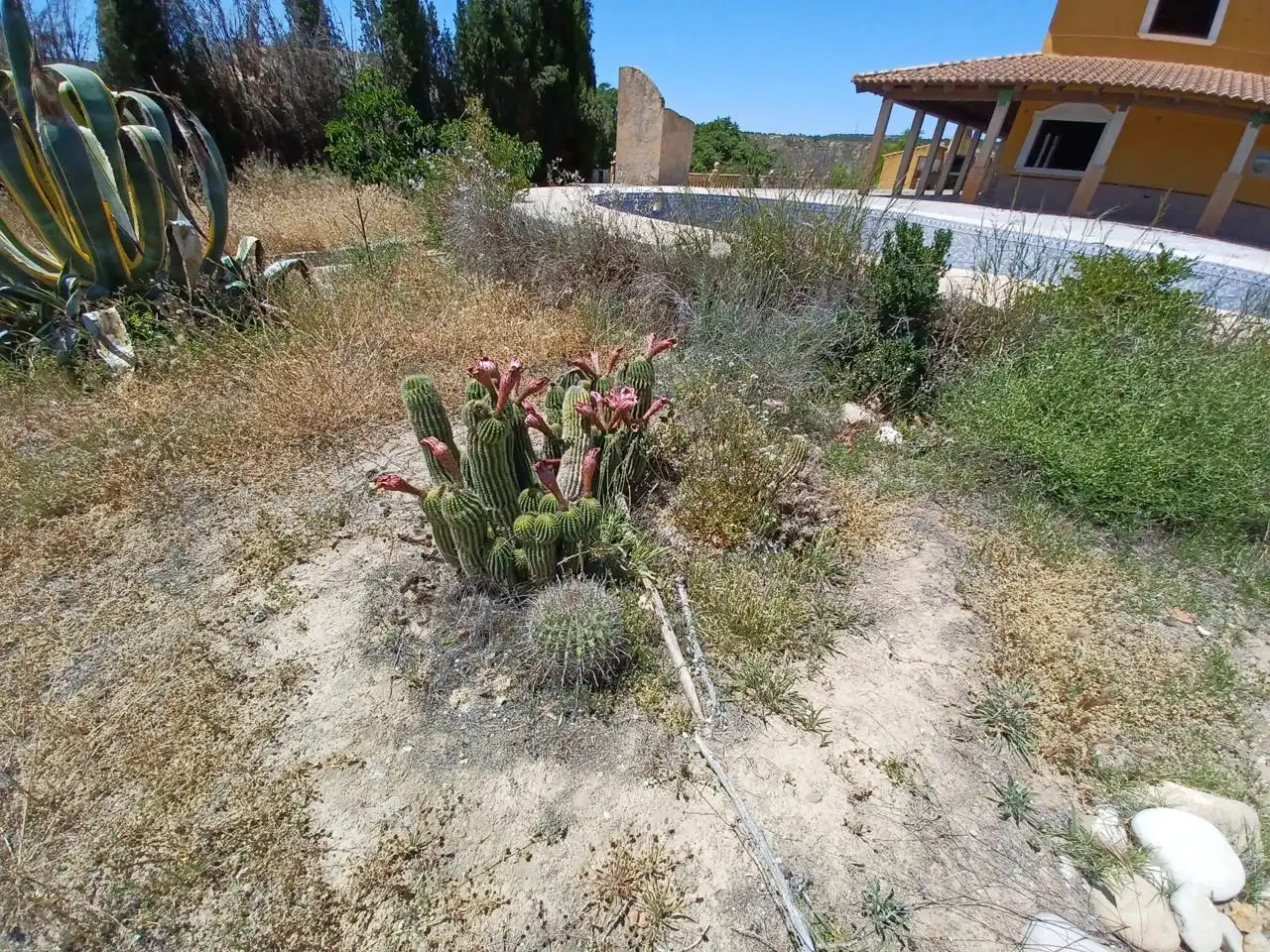Terreni e lotti in vendita a De Cortes De Baza, imagen 46