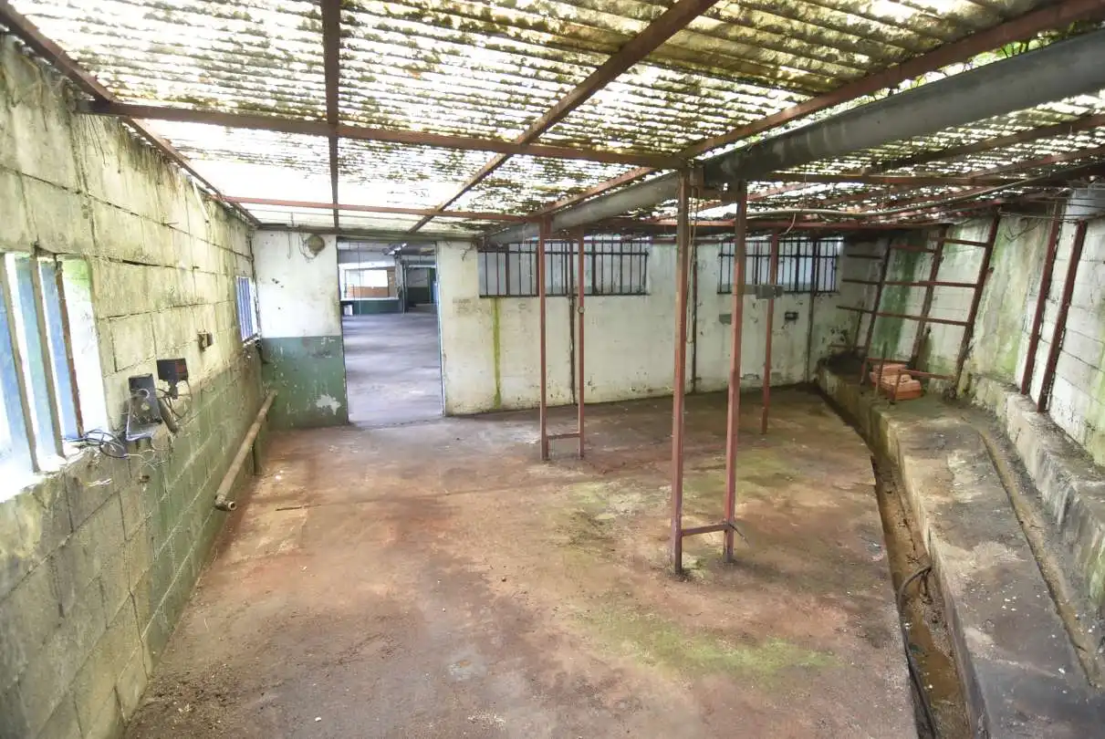 Nave industrial en venta en Soraluze / Plasencia de las Armas