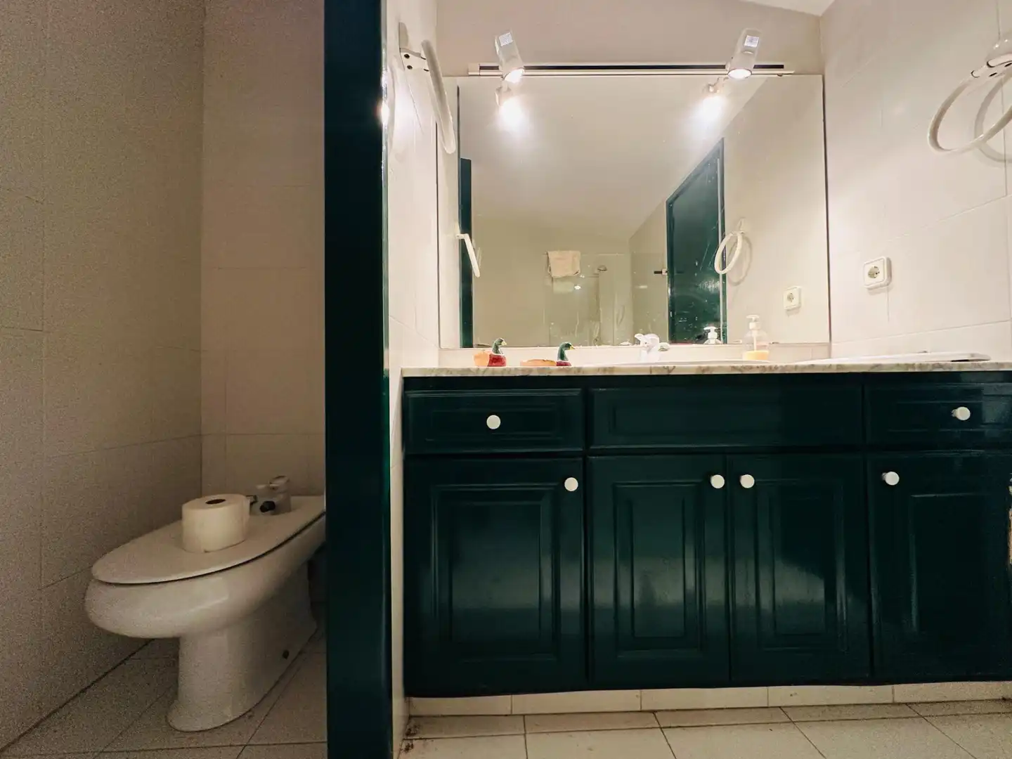Baño de Casa o chalet en venta en La Ràpita