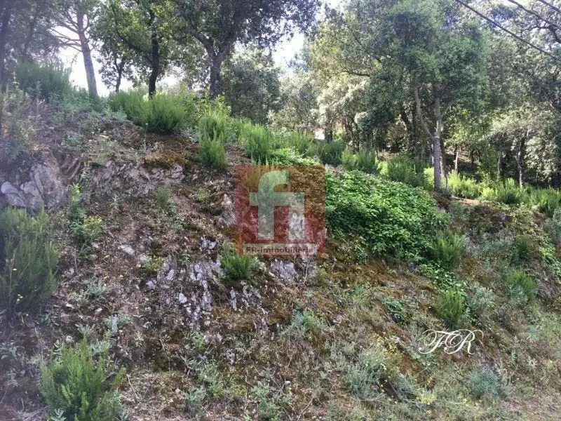 Terrenys i solars en venda a El Racó - Sant Feliu del Racó, imagen 30