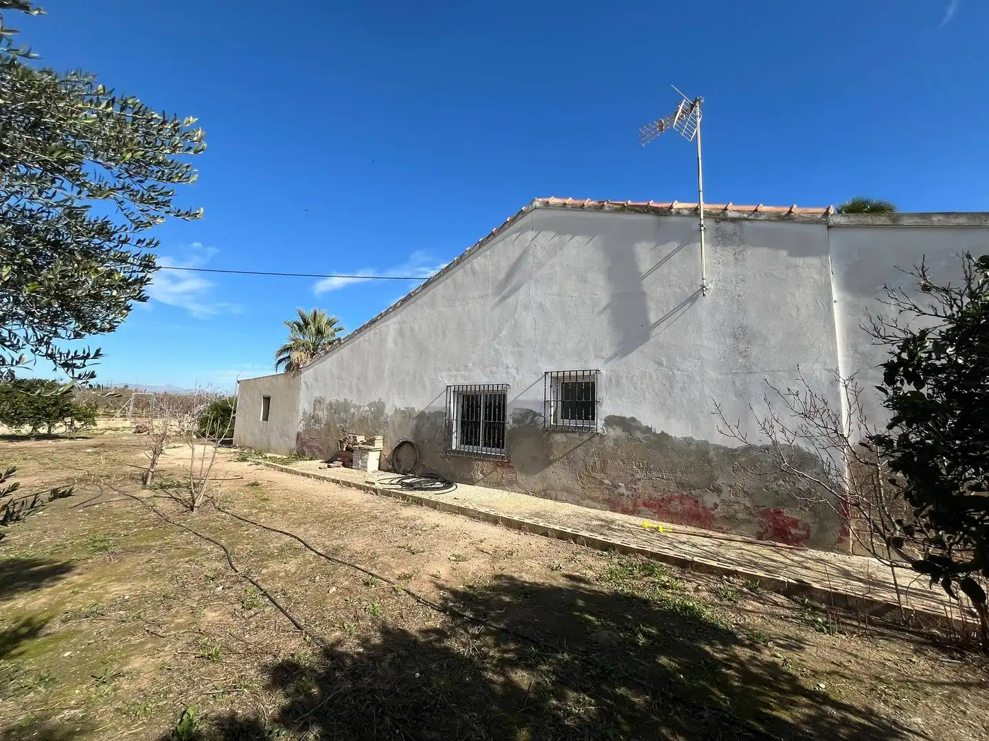 Vista exterior de Casa o xalet en venda en Elche / Elx amb Jardí privat i Terrassa