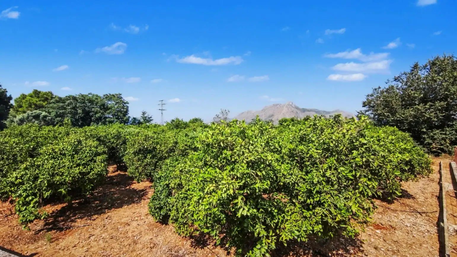 Lands and plots for sale in Ondara, imagen 5