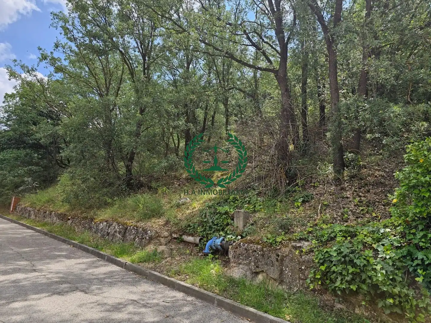 Terreno residenziale in vendita a Guadalix de la Sierra, imagen 19