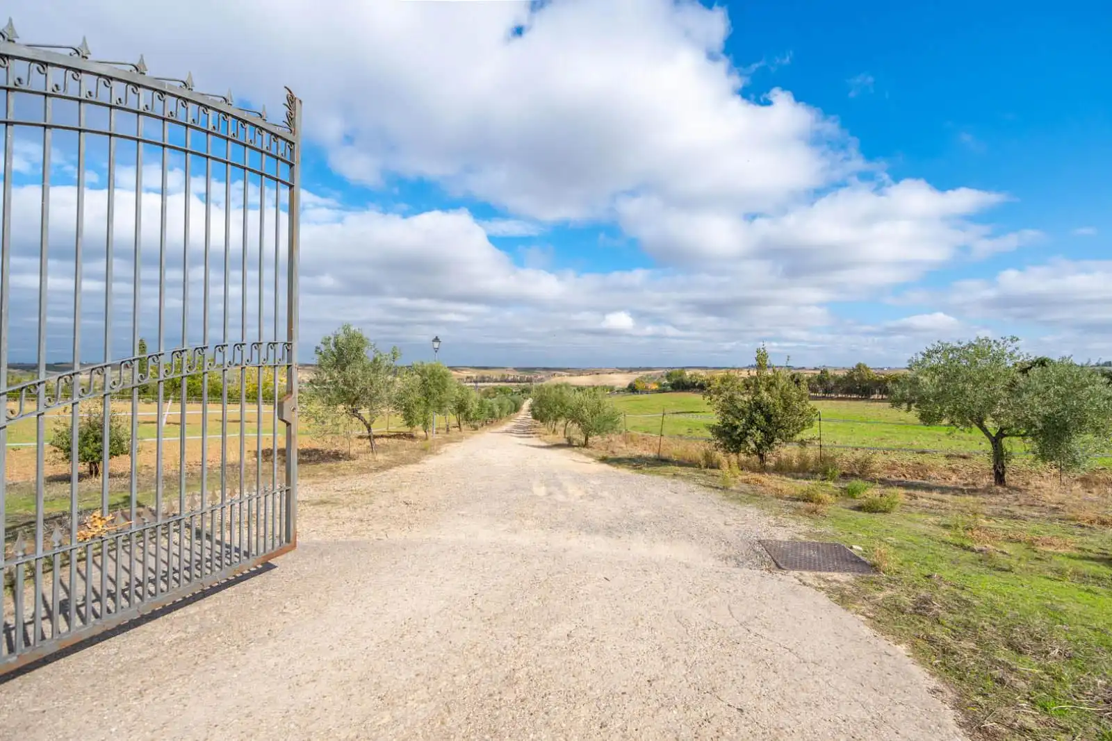 Grundstücke zum Verkauf in Olivares, Batres