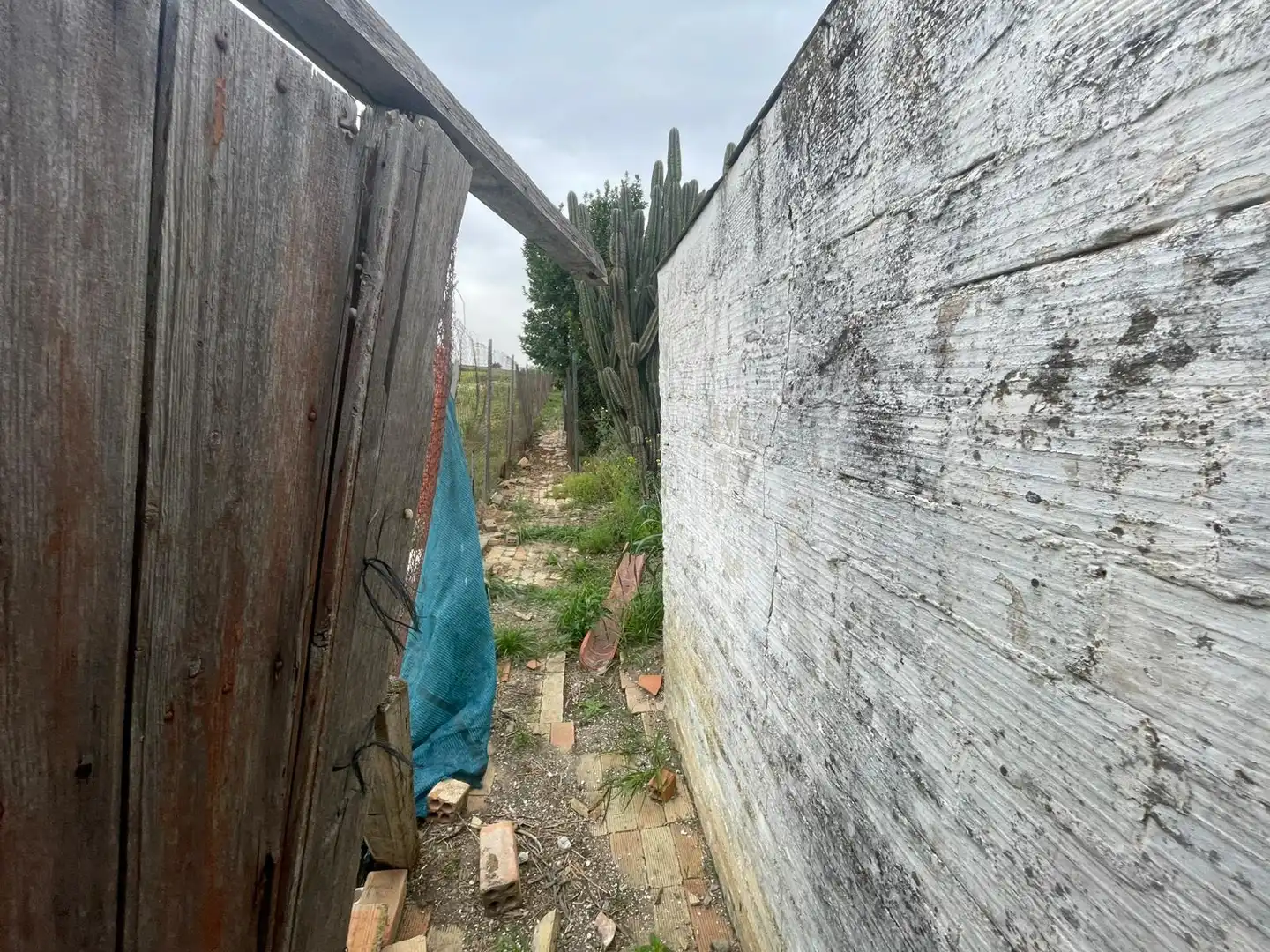 Houses for sale in Carrión de los Céspedes  with Private garden