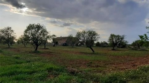 Foto 2 de Finca rústica en venta en Camí de Sant Blai, Zona Rústica - Interior, Campos
