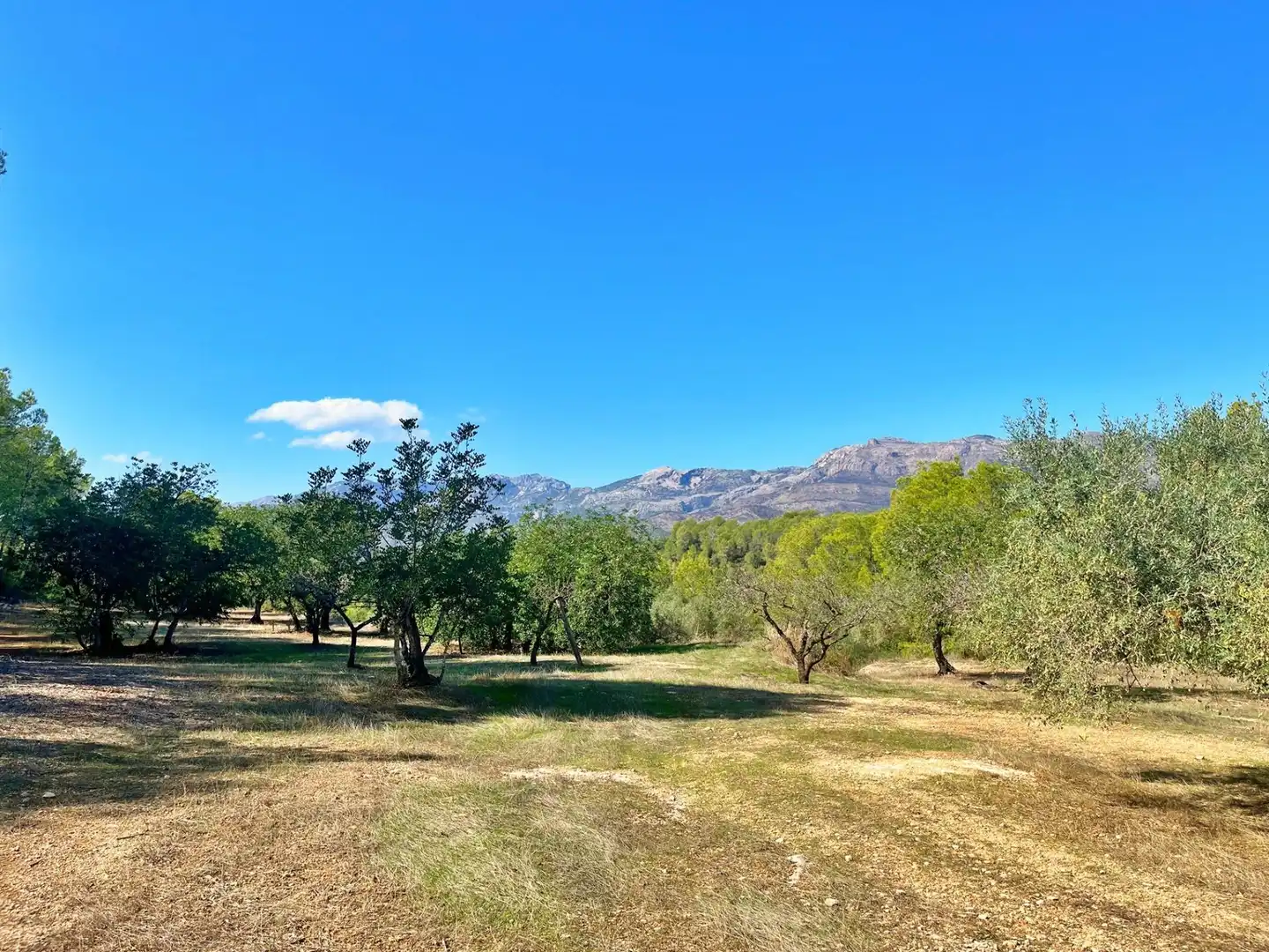 Exterior view of Houses for sale in Aldover