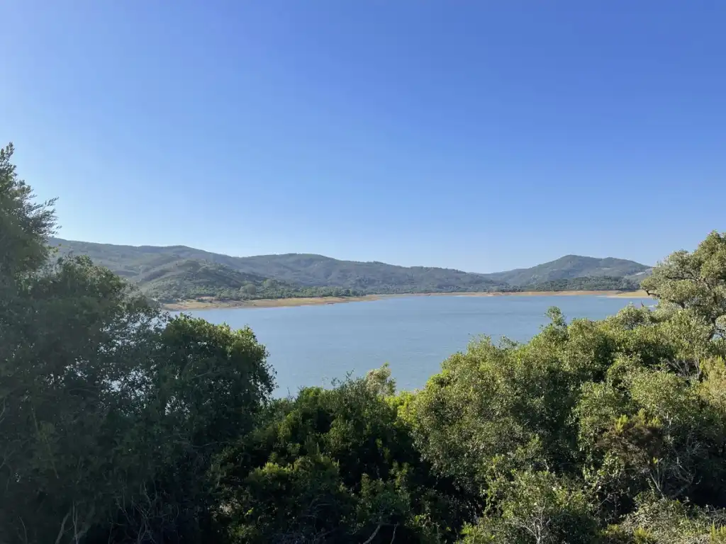 Exterior view of Country homes for sale in Castellar de la Frontera  with Private garden