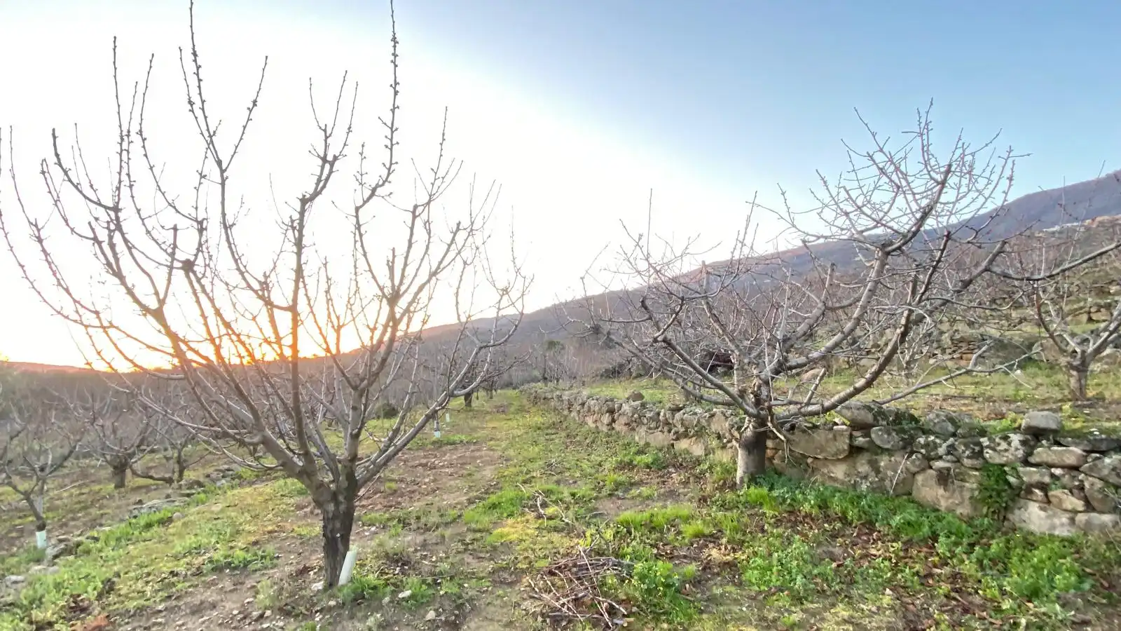 Terreni e lotti in vendita a El Torno, imagen 12
