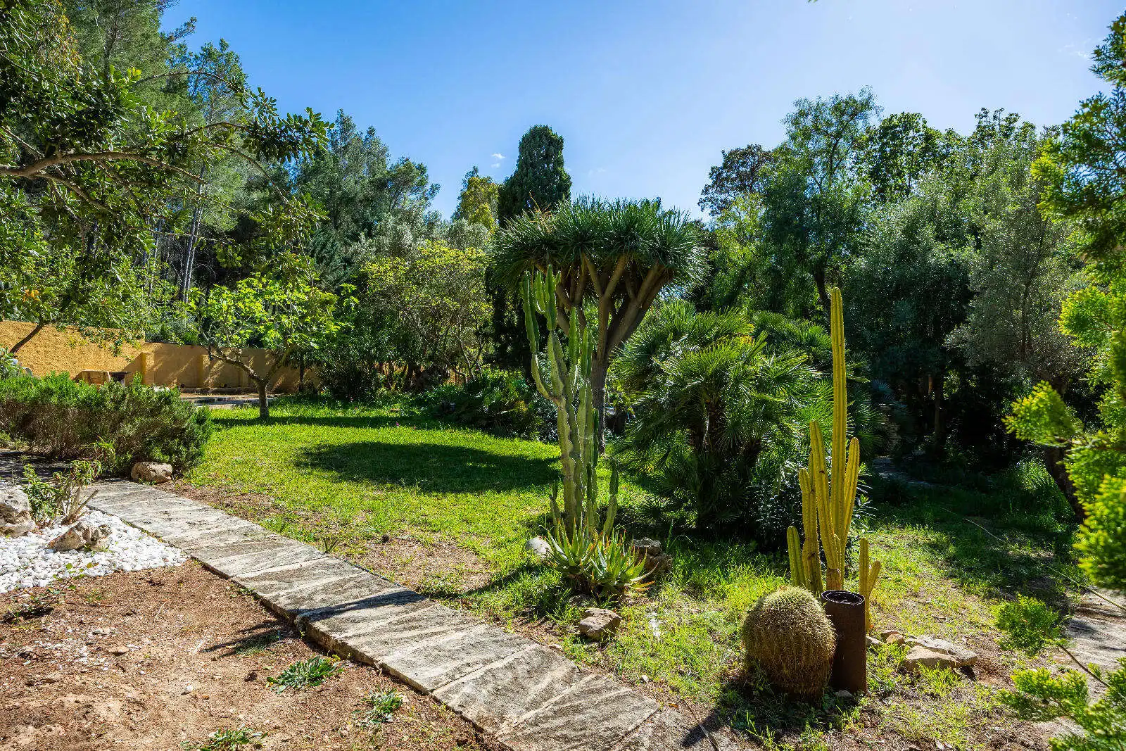 Jardí de Casa o xalet en venda en Artà amb Aire condicionat, Terrassa i Moblat