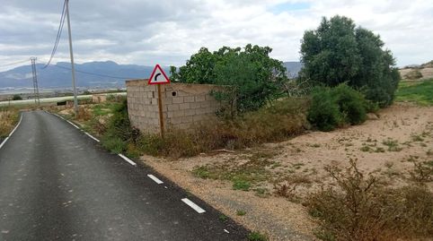 Parcelas rústicas y casa, immagine 4