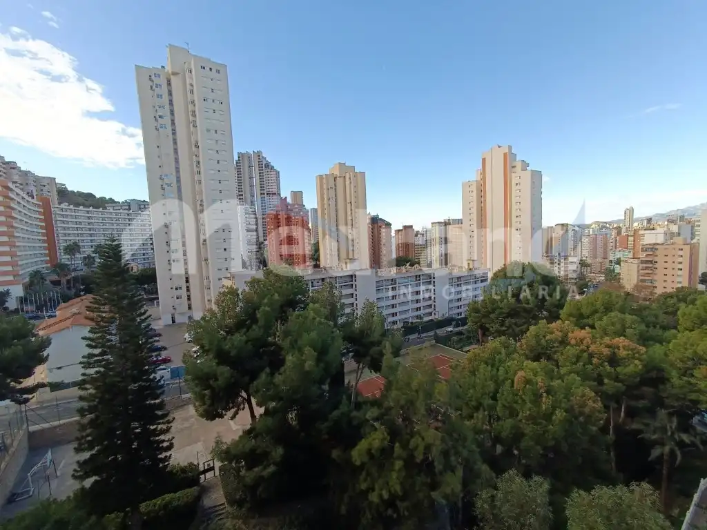 Apartment mit Pool zum Verkauf in Avenida Paris, imagen 31