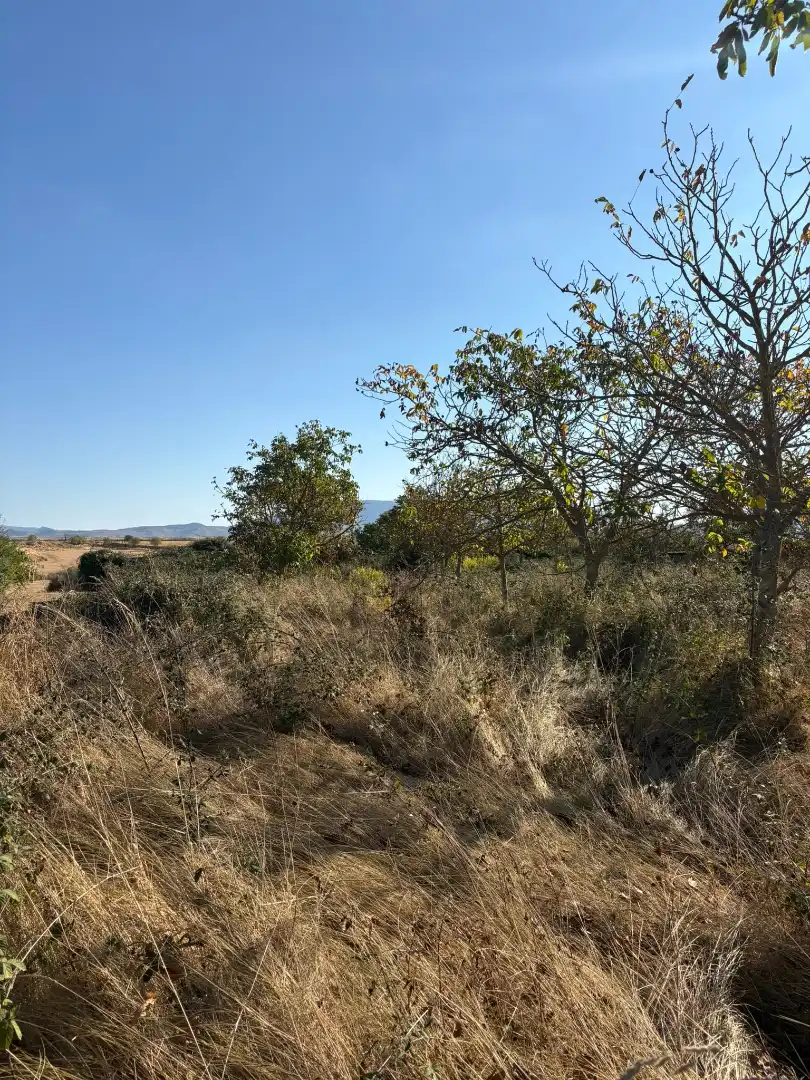 Terreni e lotti in vendita a Villamediana de Iregua, imagen 6