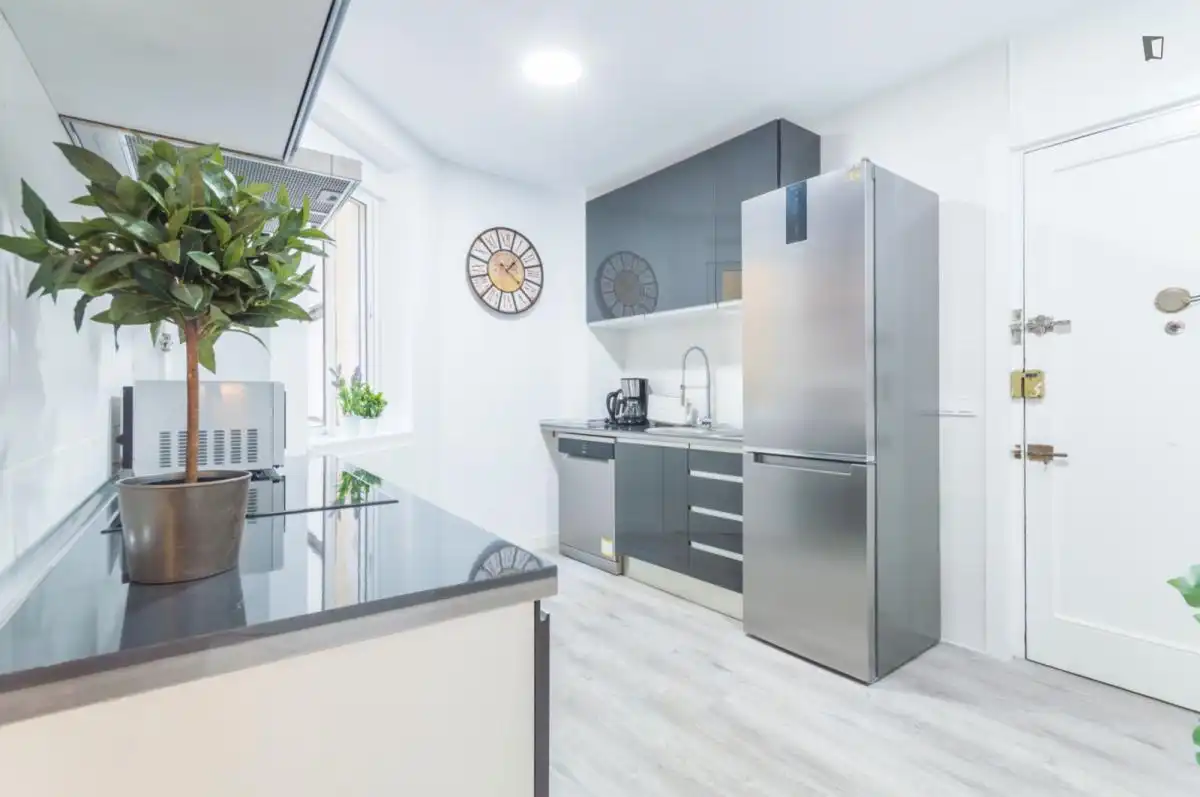 Apartament de lloguer a Embajadores - Lavapiés