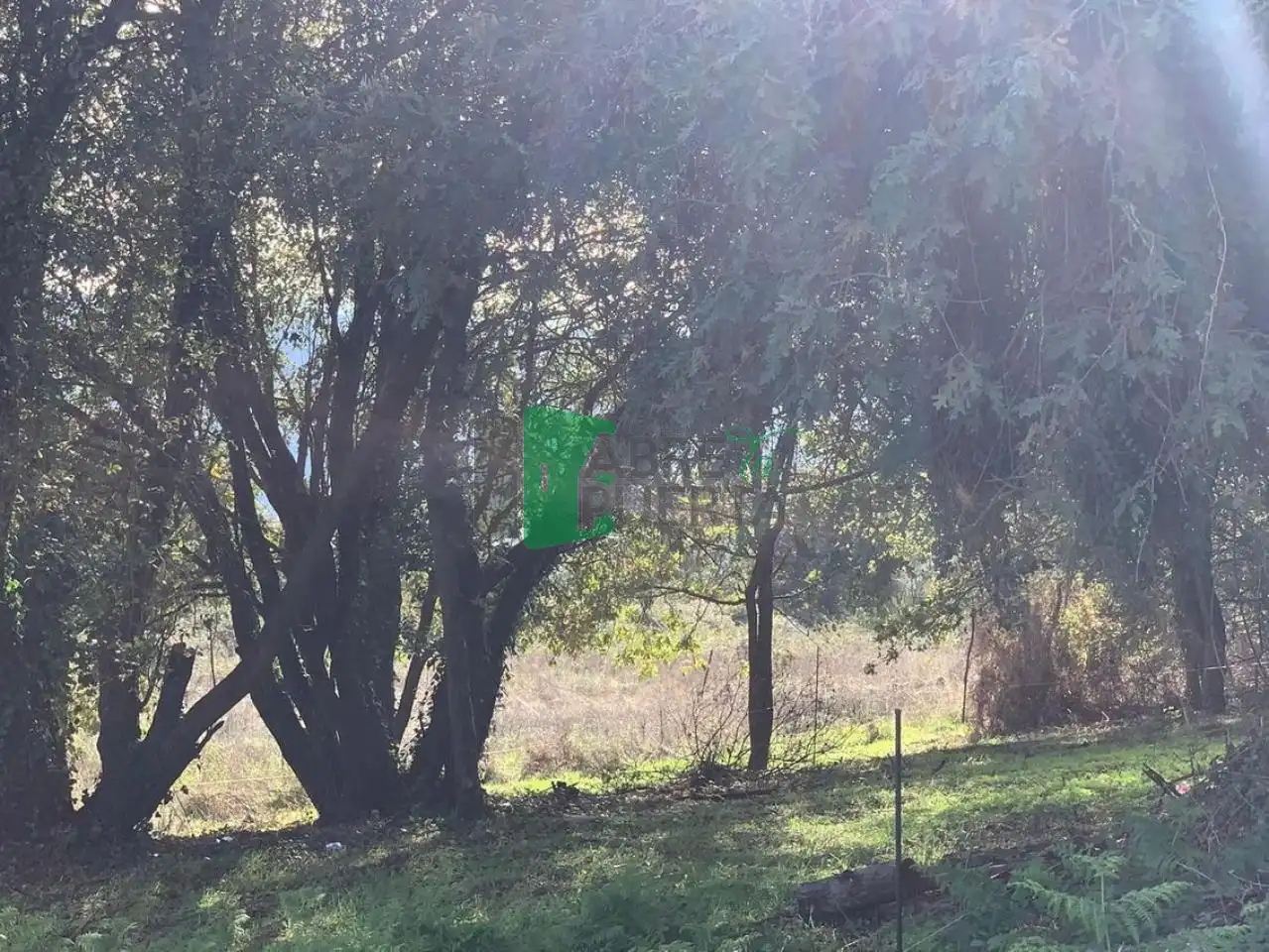 Terreni e lotti in vendita a Ventiun, imagen 16