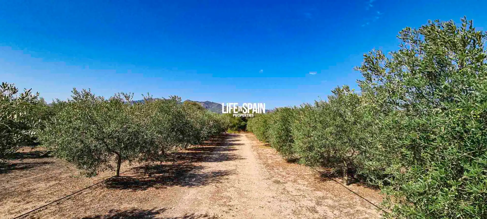 Maison rustique à vendre à Ginestar, imagen 15