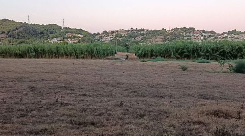 Terreno rústico y agrícola