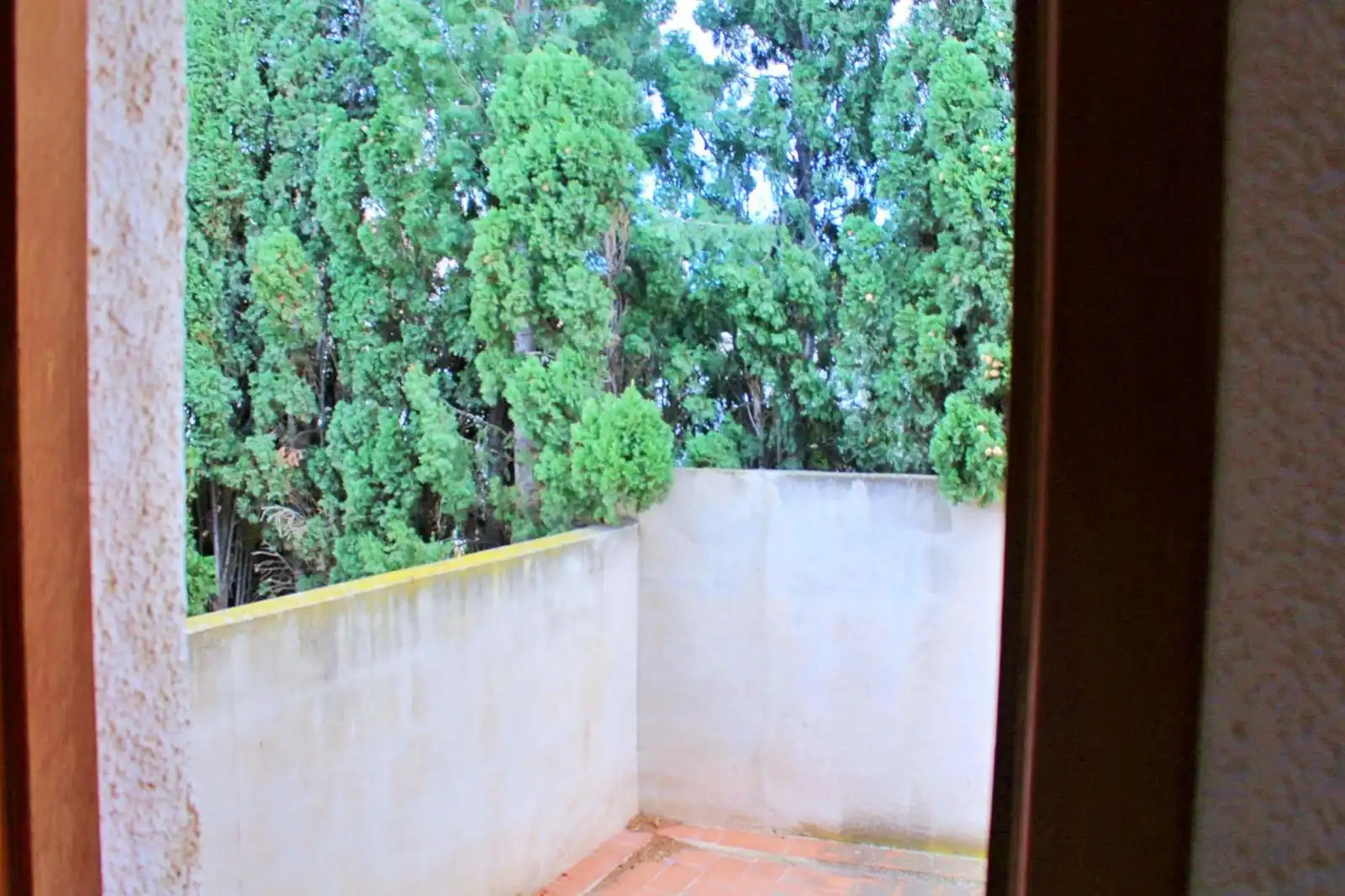Terrassa de Casa o xalet en venda en Elche / Elx amb Terrassa