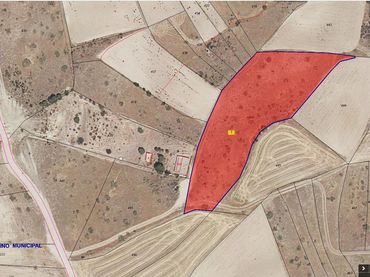 Rural land for sale in Polígono POLIGONO 3 PARCELA 411