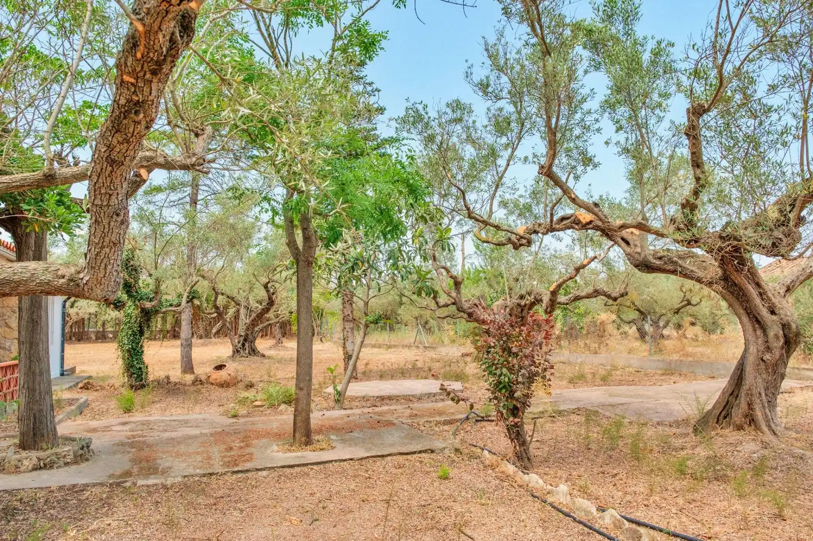 Casa o xalet en venda en Tortosa amb Jardí privat