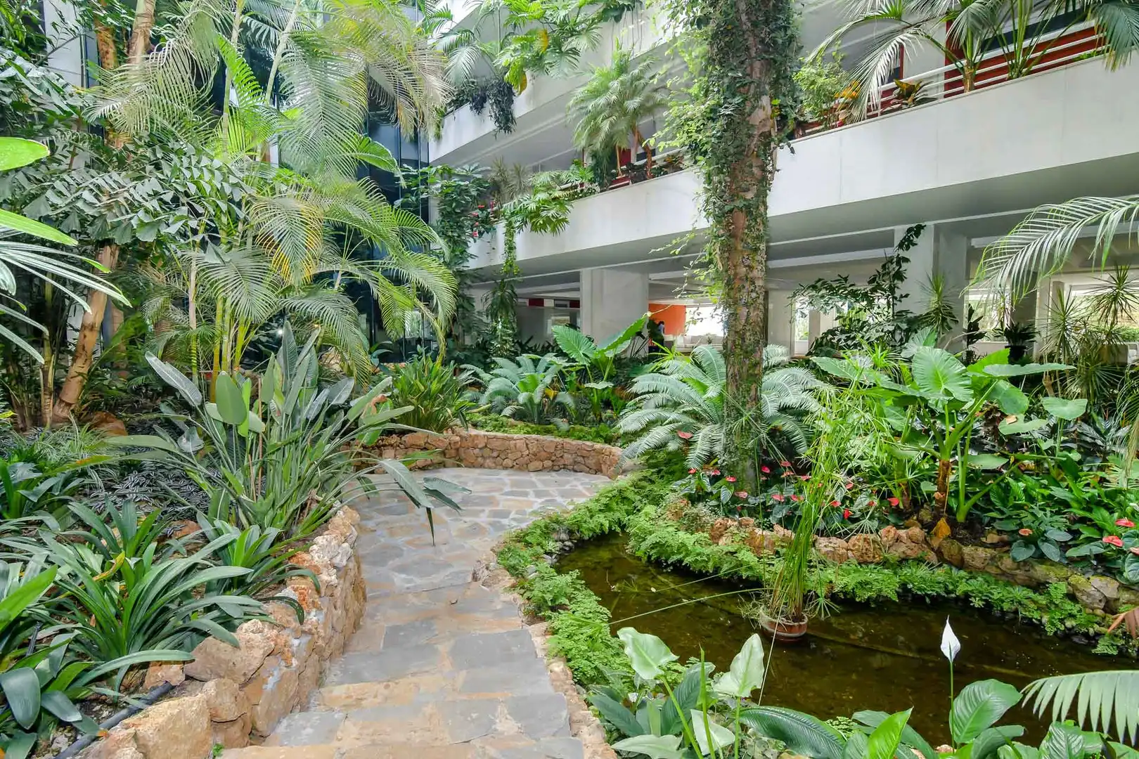 Ático con piscina en venta en PEPE CARLETON-UR MERINAS 5, imagen 35