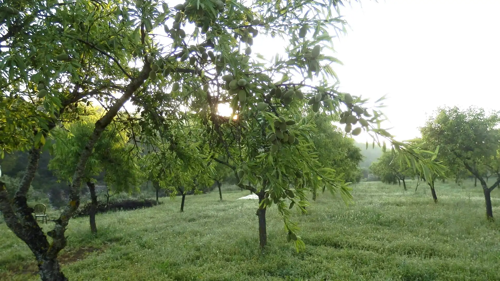 Terreno rustico in vendita a Miravet, imagen 8