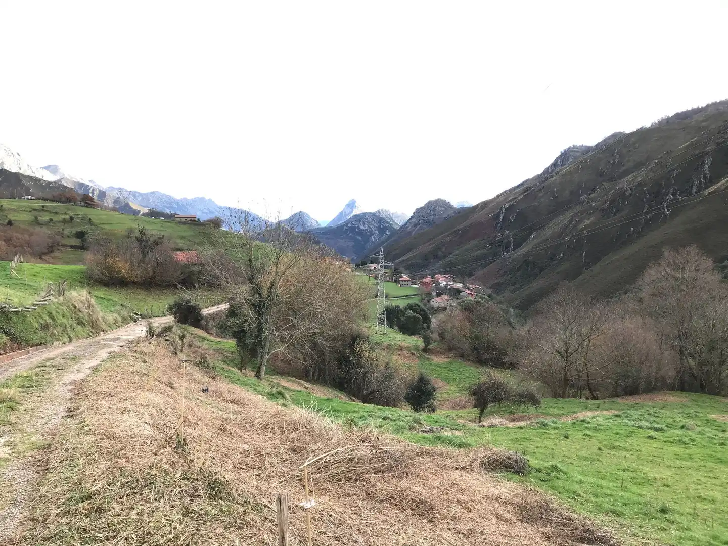 Lands and plots for sale in El Pontón, Rozagas, imagen 32