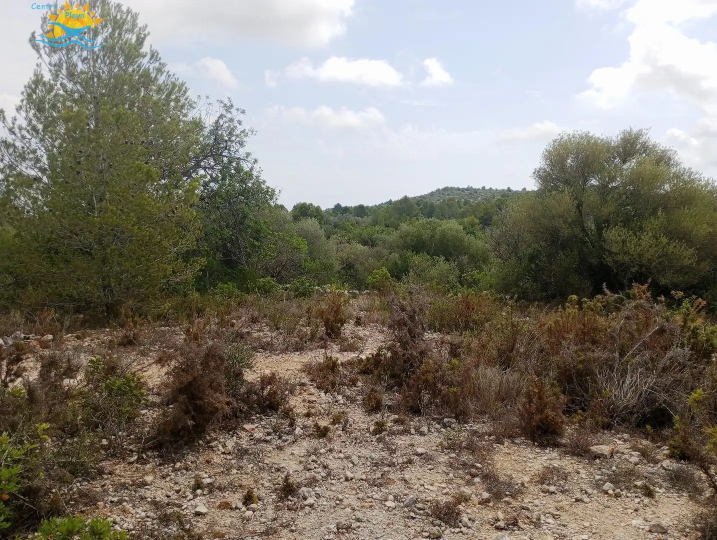 Maison rustique à vendre à CALIG CASTELLON 12589, imagen 8
