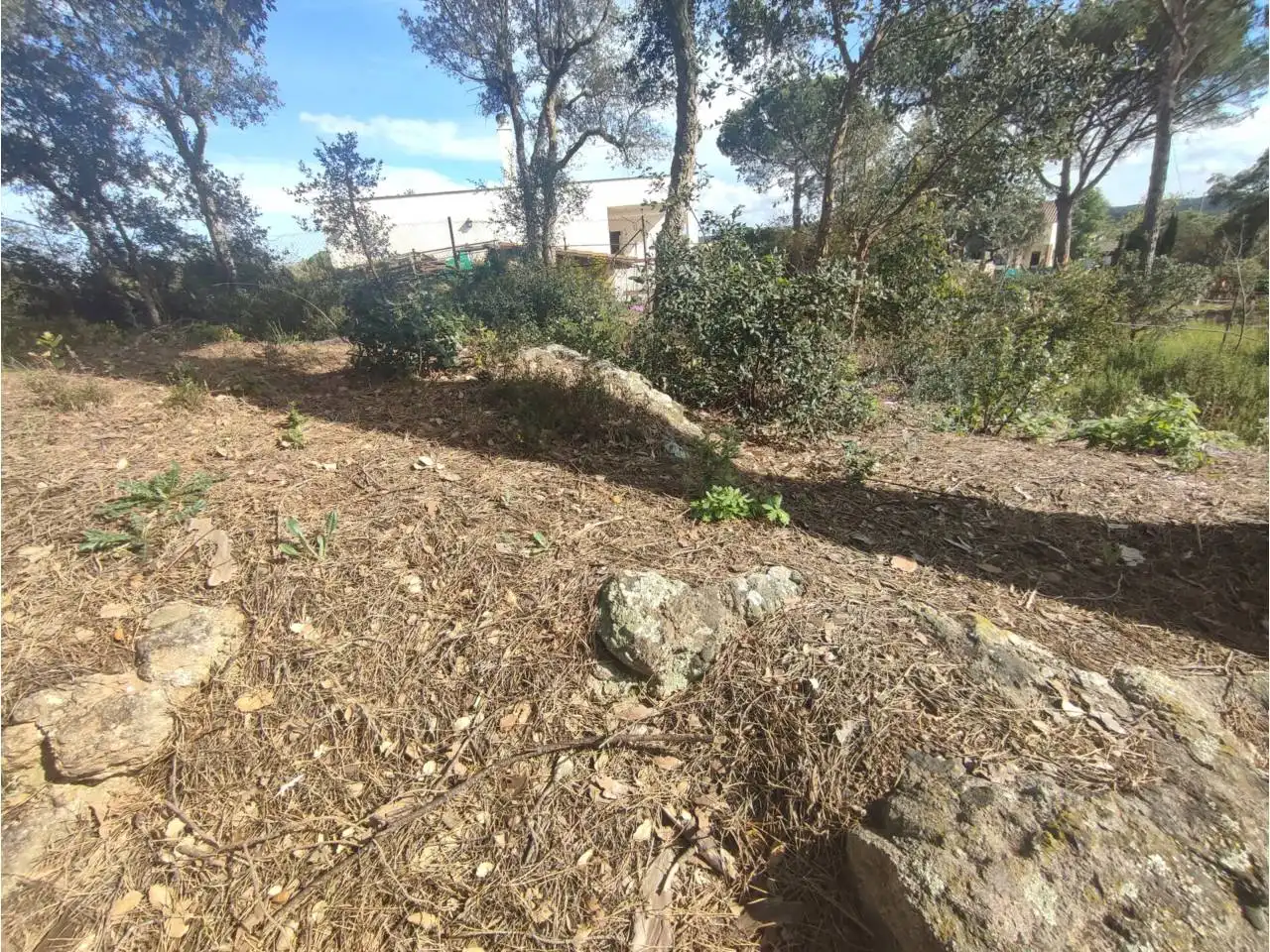 Terreny residencial en venda a Calle Pla de l´Estany, imagen 10