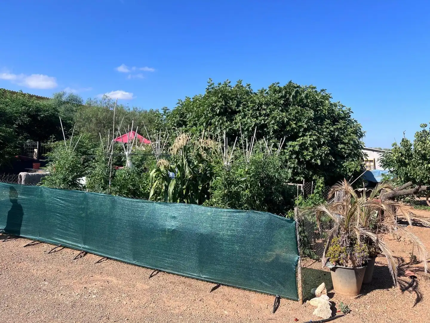 Country homes for sale in Reus  with Air Conditioner, Heating and Private garden
