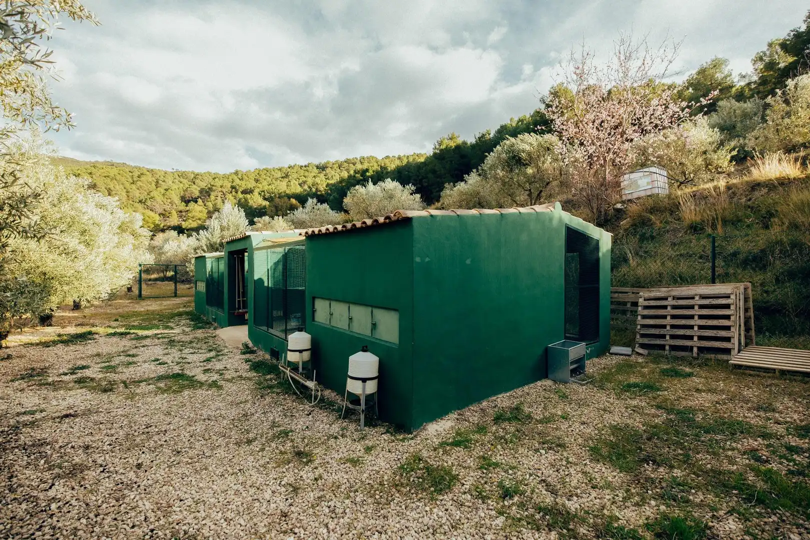 Vista exterior de Finca rústica en venda en Torremanzanas / La Torre de les Maçanes amb Jardí privat, Terrassa i Traster