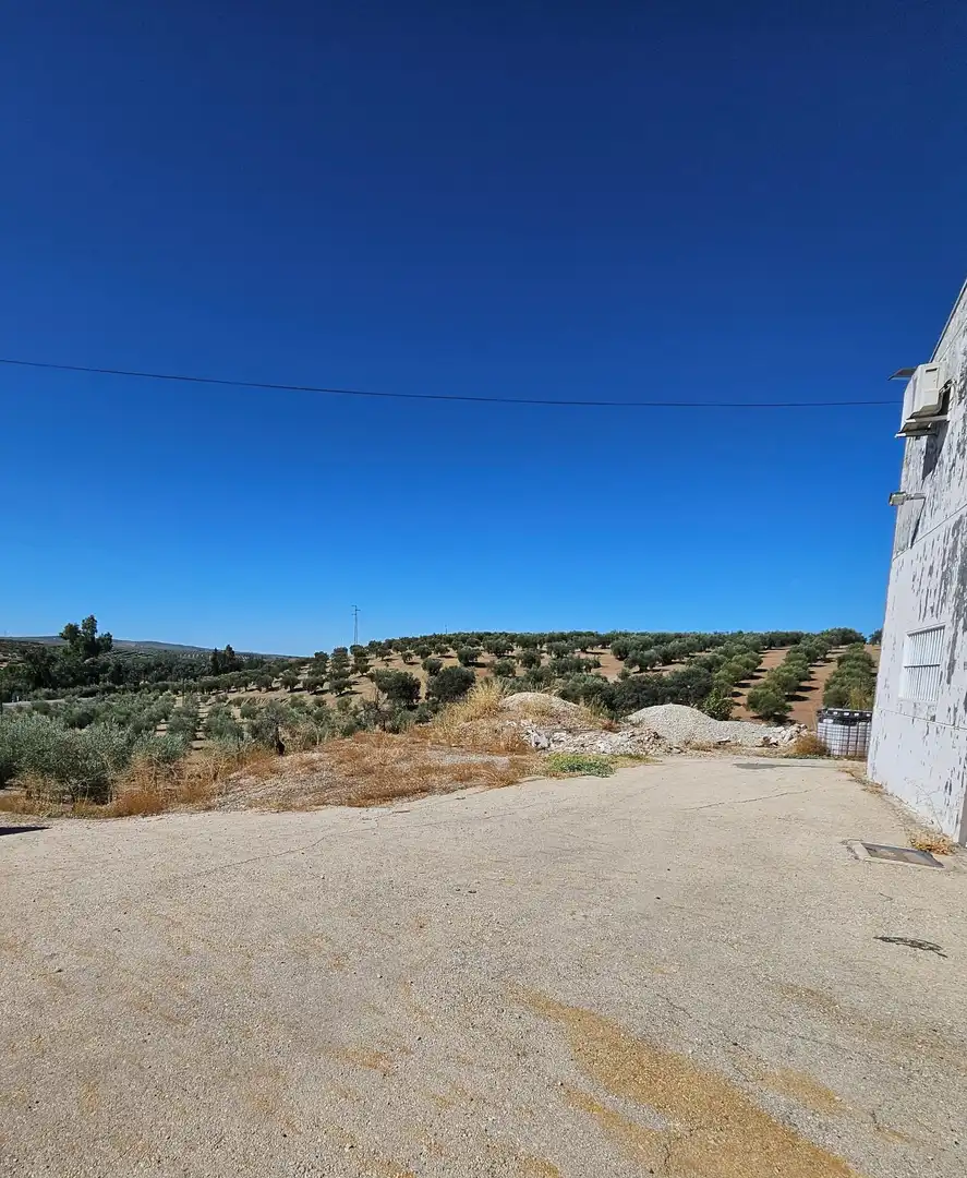 Terrain rustique à vendre à Carretera A-342 MONTURQUE-CABRA, imagen 12