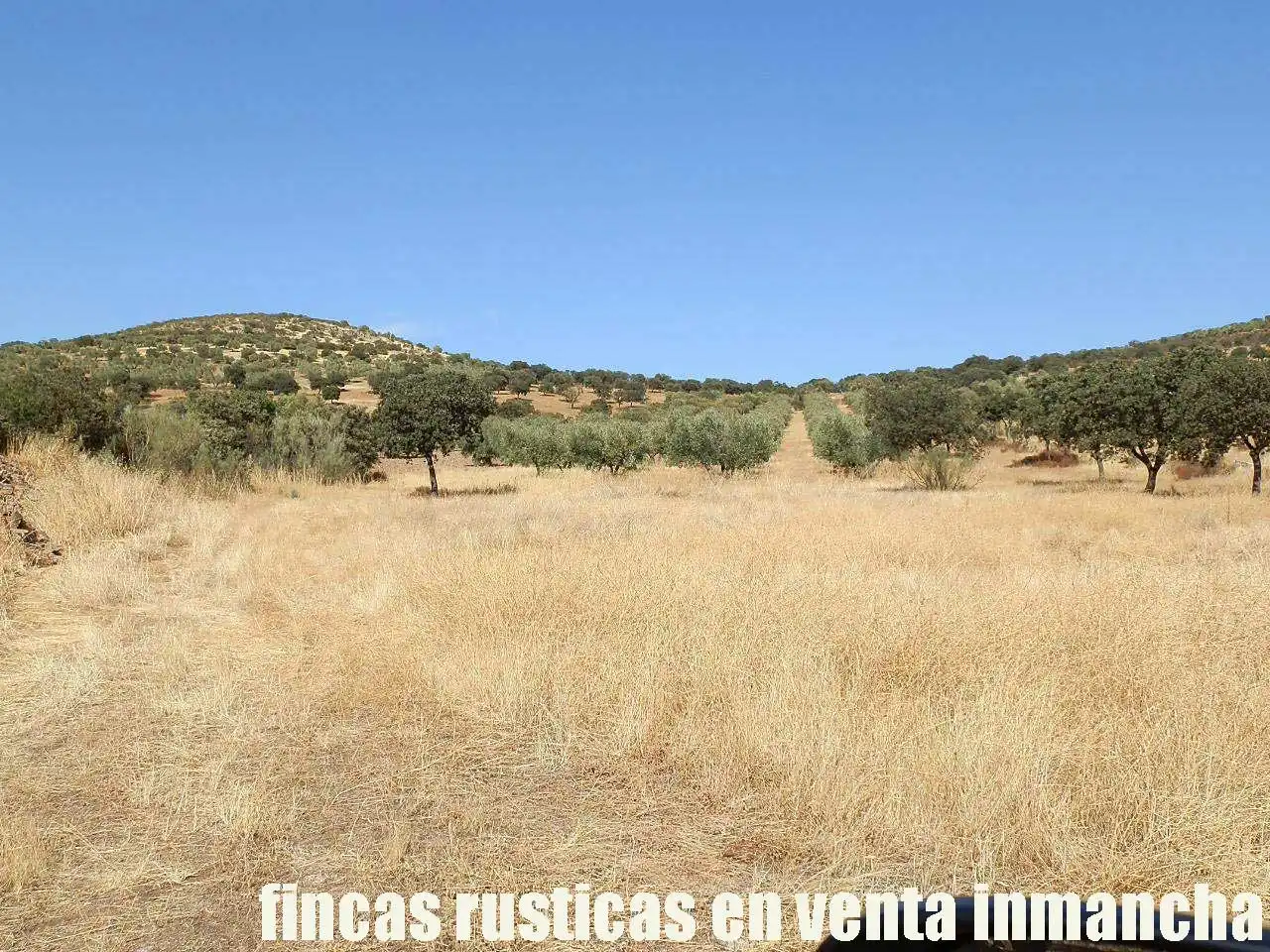 Terreny rústic en venda a Fuente el Fresno, imagen 4